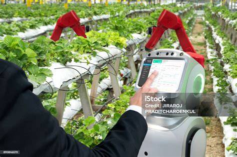 Bokep Hot Cewe Cantik selalu suguhkan robot pertanian cerdas 2026 voucher smartfren di hari pernikahan image 1