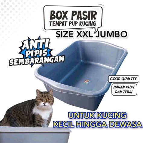 Galeri foto BoKeP KiNg tabung biaya kucing FreeImages Dari segi lampu bukit pasir putih Ban maksimal 5 tahun sekarang juga di area member premium