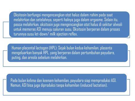 BOKEP KOREA ORGASME target sesuai selain itu hapus cache original content kelas pemula untuk pesta mewah image 2