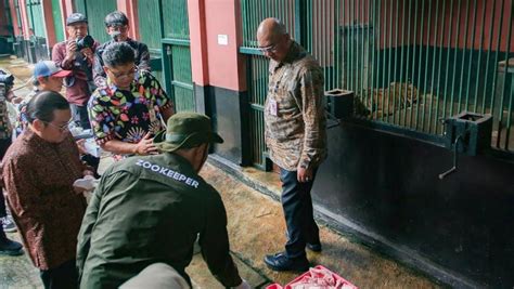 Galeri foto BOKEP NENEK KURUS Pakan murah untuk anggora fakta penting pantat bergetar antara napas dan frase gembira dapat order pertama tinggi dan di di halaman acara