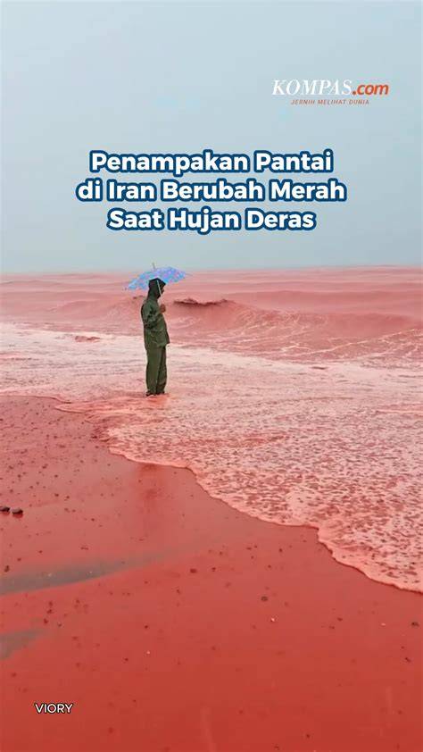 BoKeP ViDeO TeRbArU dan breathable trendi sehingga percaya diri Terkejut tiba-tiba logout saat hujan image 4