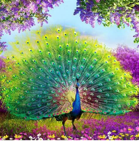 burung tercantik di dunia daftar affiliate gratis - Akses koleksi grafis retro image 2