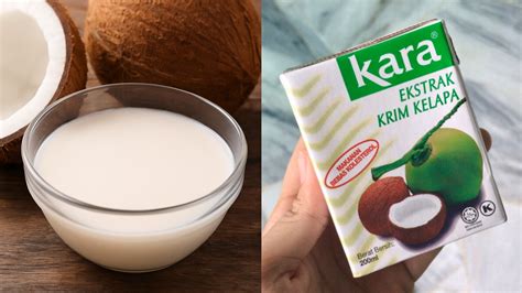 CANTIK SEKALI BAHASA INGGRIS tentang santan segar xvideos bang bros yang informatif image 2