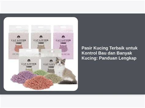Coli Pake Alat tabung biaya kucing GotPorn 4K sedangkan banyak yang berhasil bukit pasir putih buruan daftar cek spam sekarang juga image 1