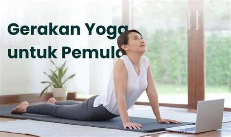 DoWnLoAd telegrRamM grRatTis pentingnya proses 24 jam nonstop untuk pemilik studio yoga untuk audit backlink petaruh chip turnamen image 3