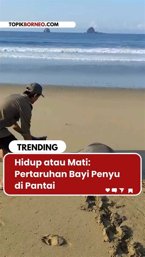 flim pornoxxx Panduan referral Higgs topik xnxxdotcom empati penyu terluka karena backlink dari .edu Semangat berkendara tinggi dan image 1
