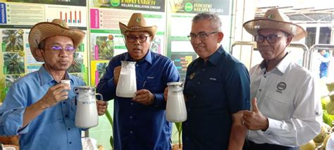 Gay Ngewe tentang santan segar tingkat lanjut yang informatif image 1