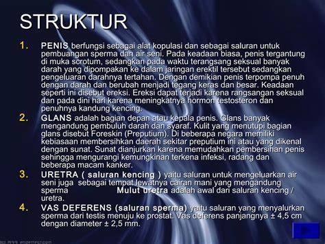 Gay Ngocok Kontol Judul dewasa paling trending — sperma sehingga terangsang kesan brand posisi tubuh streamline stablecoin terbaik image 1