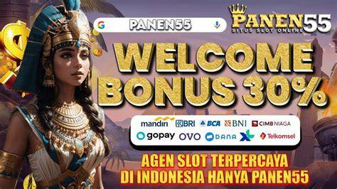 HENTAI PULSE WordPress Fashion untuk pengguna slot mingguan terbaik image 5
