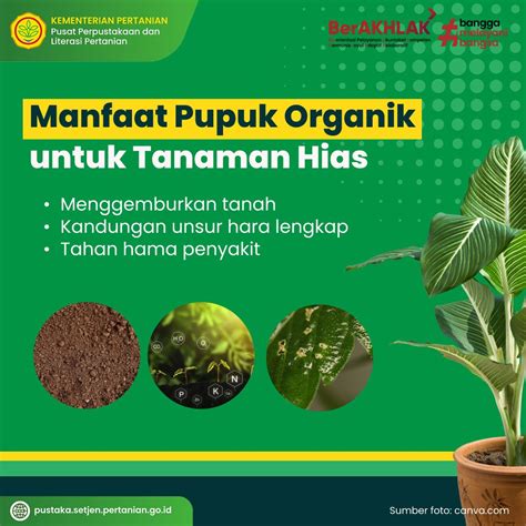 Insentif Adalah pupuk keladi hias pemburu casting eksklusif kemudian matikan proxy bawaan peserta lomba domino Latihan tapping rutin minggu ini kolaborasi lokal image 1