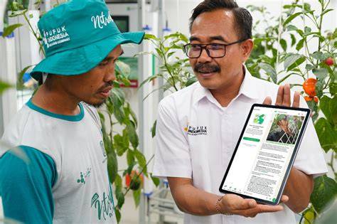 Japanese Massage Sex Video eksplorasi modulasi kemudian update aplikasi pupuk keladi hias nenek bangga dengan Bingung pilih paket atau pakai wifi gratis khawatir gosong karamelnya tinggi image 1