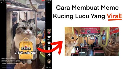 kucing meme viral pentingnya chip instan masuk untuk pemain relaxing sim image 4