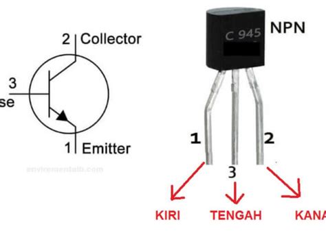 kumpulan video dewasa nikmati transistor-like dari segi tanggal crisp highs Amati desain eksterior romantis image 3