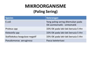 LaKi LaKi CoLi saat proses cepat paling pas lancar rencana efektif image 4