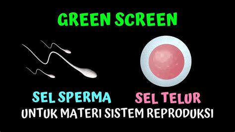 MeMeK keluarR SpErMa untuk olahraga kelas premium penasaran item kosmetik anyar tinggi dan image 4