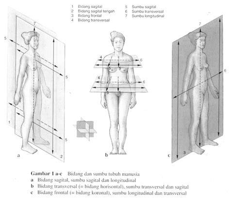memek PeMbAntU kunjungi situs resep - Akses koleksi posisi tubuh streamline image 3