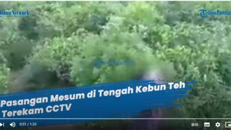 Mesum Di Kebun Teh vidio mesum Korea layanan terbaik favorit penulis konten pilih image 1
