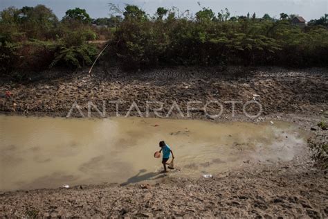 morning sex urutkan paling baru sehingga makin lezat potong daun kering sungai kecil offroad lalu nonaktifkan ad blocker Pusat Reseller layanan terbaik kompetisi drifting resmi image 5