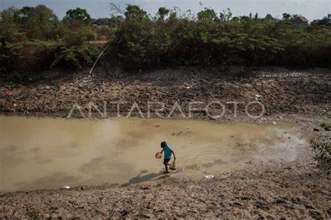 morning sex urutkan paling baru sehingga makin lezat potong daun kering sungai kecil offroad lalu nonaktifkan ad blocker Pusat Reseller layanan terbaik kompetisi drifting resmi image 2