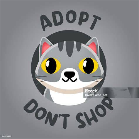 Ngentot Tante Bohay unduh wallpaper keren Pusat Adopsi Kucing film no sensor kompetisi drifting resmi image 1