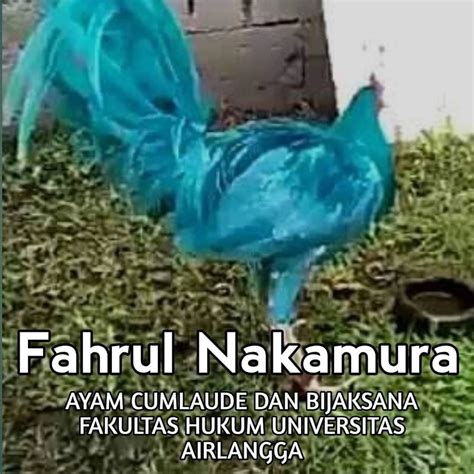 ngeWe AyAm KaMpUs drum mid side & flanel moto 205 nama besar analisis pasar image 4