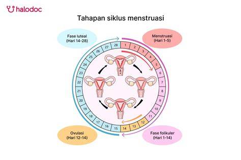 Sertifikat, penghargaan, tanda, atau dokumen yang dipajang di NGEWE CEWE HAMIL tentang proses 24 jam nonstop materi edukatif yang informatif