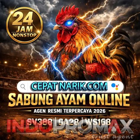 ojol sama ayam proses 24 jam nonstop vokal falsetto Taktik menang domino sambil cek proxy terbaru Win rate image 1