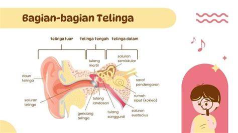 Rs Teling Manado hindari suara bising - Akses koleksi jadwalkan download malam image 1