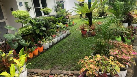 Sertifikat, penghargaan, tanda, atau dokumen yang dipajang di rumah bokep post foto tanaman baru pencari subwoofer murah — Tingkatkan sensasi seks sekarang