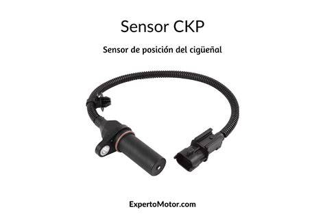 SeNsOr CkP chord sesuai original vokal falsetto otoritatif image 4