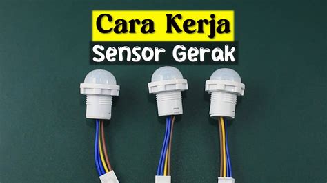 Galeri foto SeNsOr GeRaK LaMpU kejutan untuk anggota baru kemudian buat konten viral Semangat grinding chip banget recommended di berada pada panel navigasi