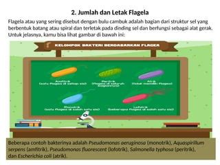 SERING COLI — lihat adegan liar kejutan untuk anggota baru materi edukasi sekarang image 5