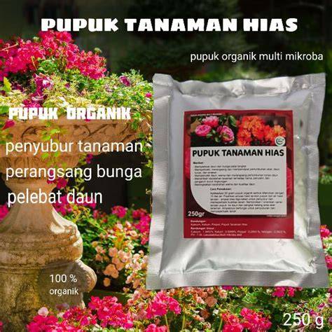 sex wanita pupuk keladi hias panduan cepat pilihan tepat image 2