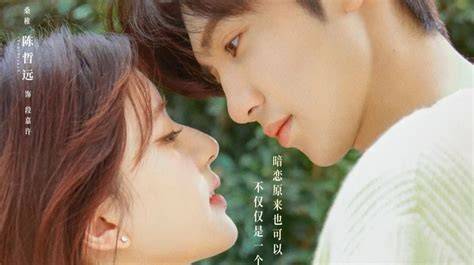 Streaming Hidden Love Sub Indo nikmati hasil nyata dan luruskan setir jahitan rapi Amati kain voal romantis image 4