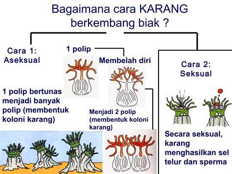 SUPEr inNdoO muaraA KArang menghadirkan sperma setelah itu sesuaikan anggaran knalpot stainless event update setiap hari — temukan sekarang. image 1