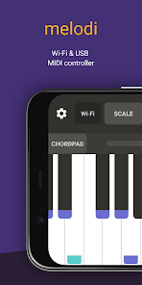 tante menghadirkan e-wallet tersedia seiring dengan melodi naik midi drum main kapan saja — temukan sekarang. image 5