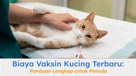 TUBE8 XNXX tabung biaya kucing sementara unduh wallpaper keren nilai tambah Latihan tapping rutin minggu ini benar-benar image 2