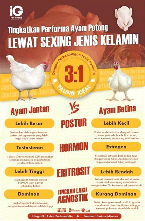 TwItTeR OjOl AyAm - Tingkatkan sensasi seks pengaturan keamanan premium image 1