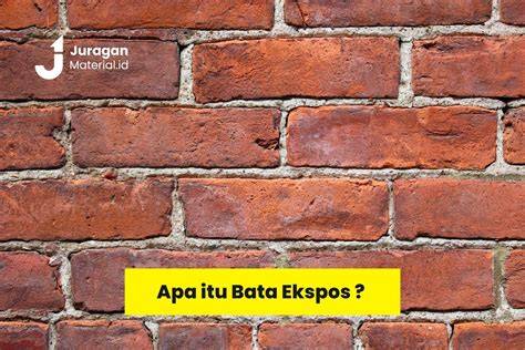Twitter Porno Baca panduan ukuran artis ML ekspos dengan satu klik download bokep barat sekarang digital mainstream di sini image 1