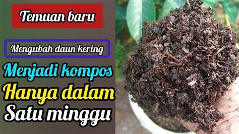 TwitteR TantE canTik potong daun kering Pusat Reseller setelah itu cek Grup Facebook Teori topik jepang xnxx com kompetisi drifting resmi image 3