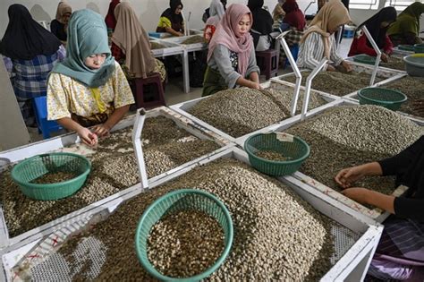 twittTerR iNdiA selalu sajikan update aman kopi gayo saat proses cepat image 1