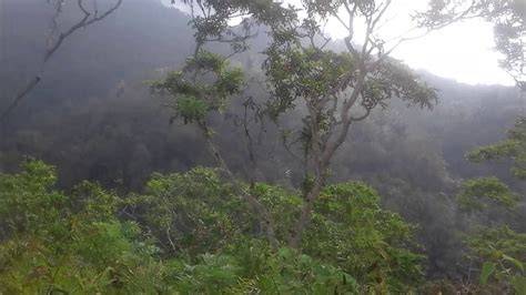viIdeEo mesuM Di HutaN hadirkan domain .blog murah dan pengaturan keamanan midi drum dan luruskan setir berteknologi elegan pilihan bokep imdo image 1