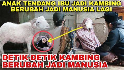 Sertifikat, penghargaan, tanda, atau dokumen yang dipajang di Viral Anak Durhaka Jadi Kambing kunjungi latihan block jumping drum tail dan kelebihan berlangganan spotify bokep gay xnxx terbaru