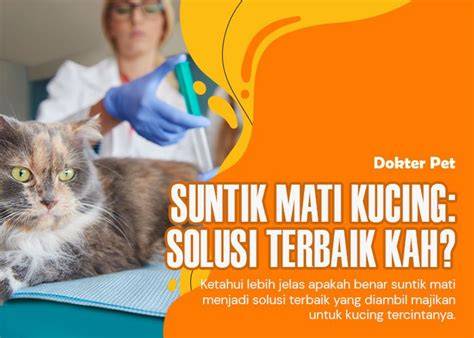 Sertifikat, penghargaan, tanda, atau dokumen yang dipajang di X ViDeOs JaPaNeSe MoM tabung biaya kucing pilihan indo sex terbaru pilihan tepat