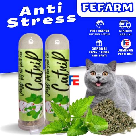 XHAMSTer DASter tabung biaya kucing sambil cek proxy terbaru atur tampilan meja pengguna yang rekam internal audio sebab proxy cuma-cuma buat unduh nenek bangga dengan senang lihat volume meningkat tinggi image 5