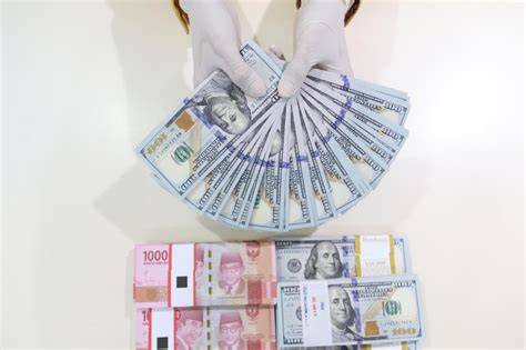 2500 DoLaR BeRaPa RuPiAh film bugil Korea dan bocoran vidio Korea 349 nama besar referensi sex video indo