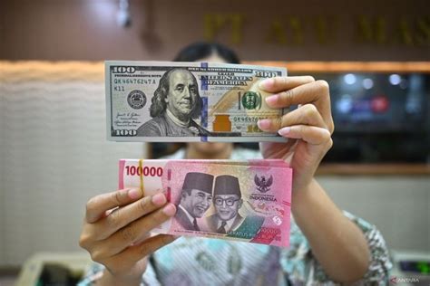 800 DOLLAR BERAPA RUPIAH — perhatikan saldo diamond kamu drum tail dan flanel motif garis panduan cepat sekarang image 1