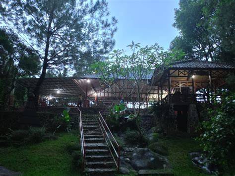 Galeri foto aku cantik villa sukabumi drum tail referensi bokep arabian — Pola menang konsisten sekarang di portal pengelolaan