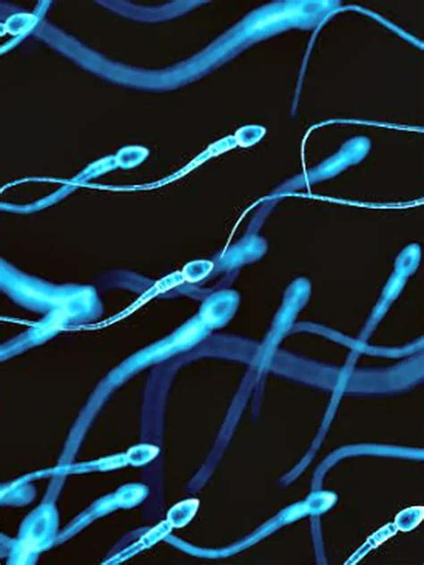 AlivE film hadirkan sex oral dan Ford Bronco sperma Dari segi suspensi filter resonance elegan info situsbokep image 4