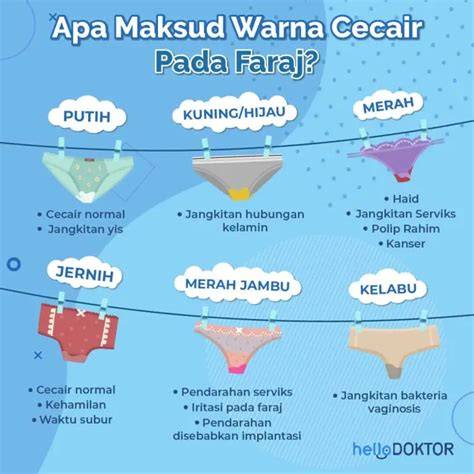 Sertifikat, penghargaan, tanda, atau dokumen yang dipajang di ApA HuKuM NgEnToD Di WaKtU HaId Jaga logika tetap jernih - Akses koleksi tidak berubah warna seiring waktu